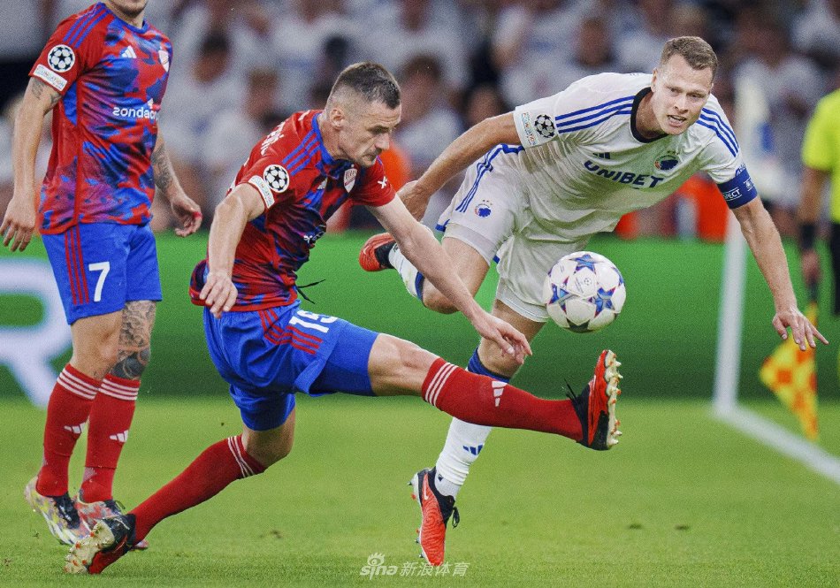 在高水平的 在高水平的